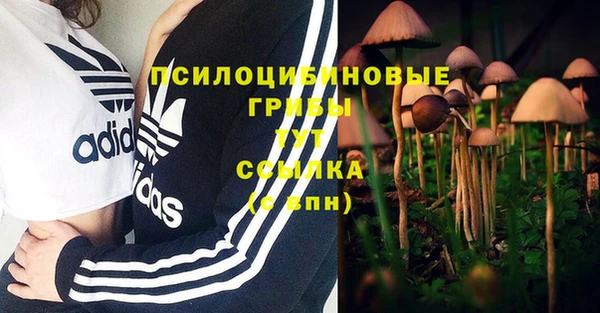 не бодяженный Баксан