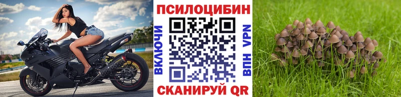 Галлюциногенные грибы Cubensis Луховицы